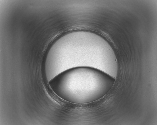 X0000064770538200602101056