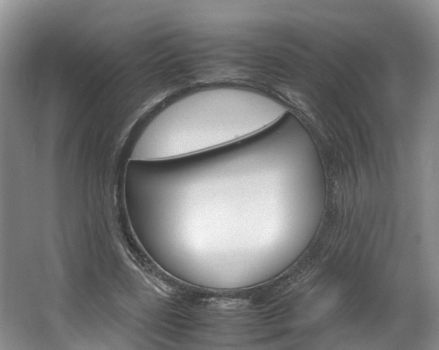 X0000064770539200602101056