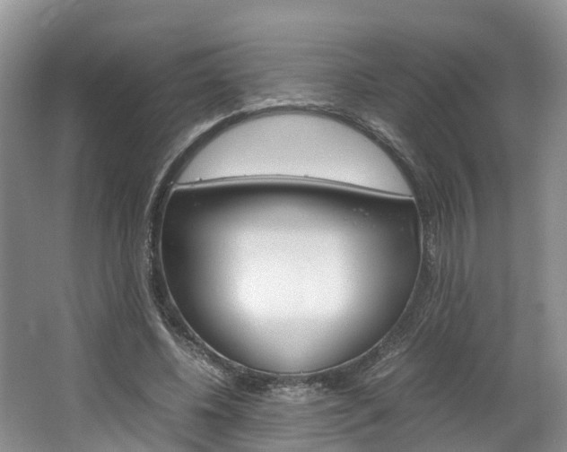 X0000064770540200602101056