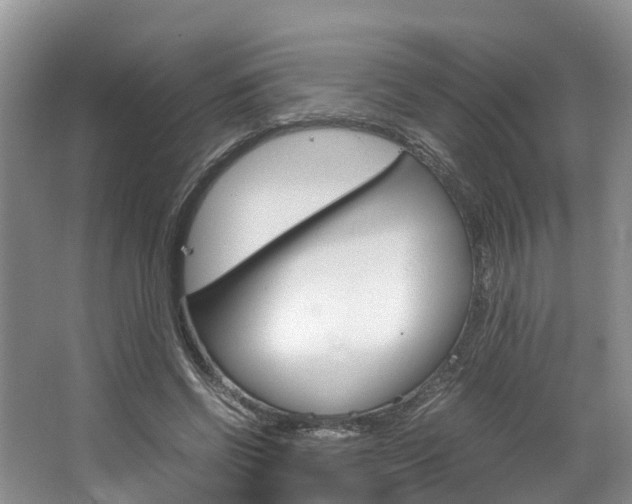 X0000064770542200602101056