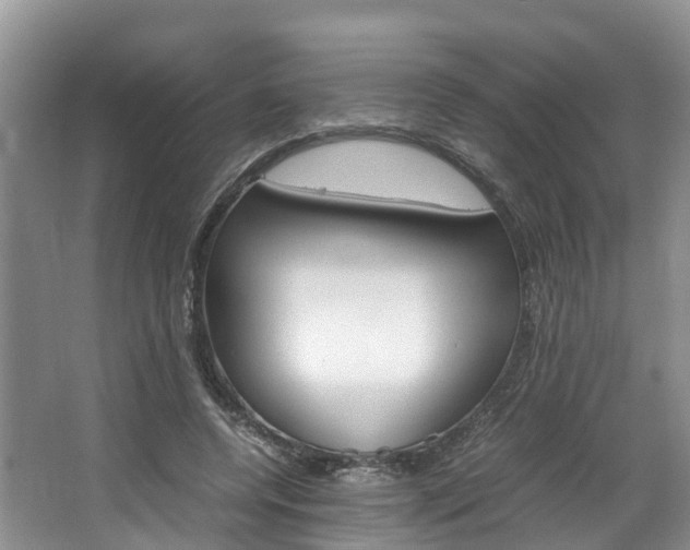 X0000064770544200602101056