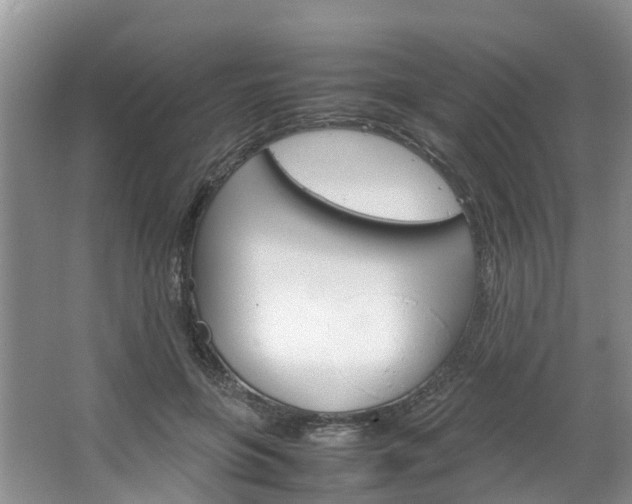 X0000064770551200602101056