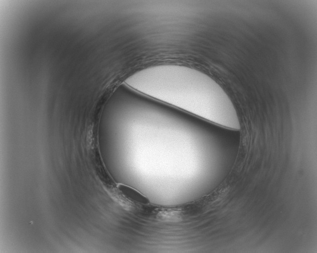 X0000064770560200602101056