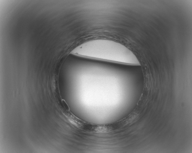 X0000064770562200602101056