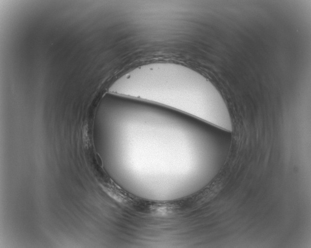 X0000064770564200602101056