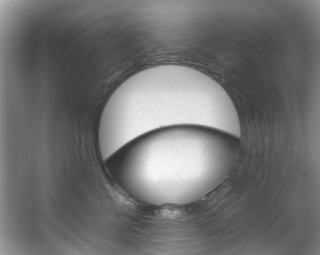 X0000064770570200602101056