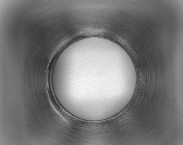 X0000064770582200602101056