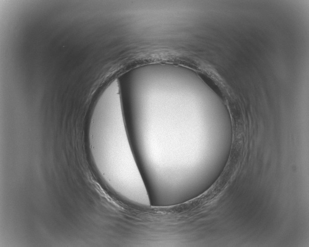 X0000064770585200602101056