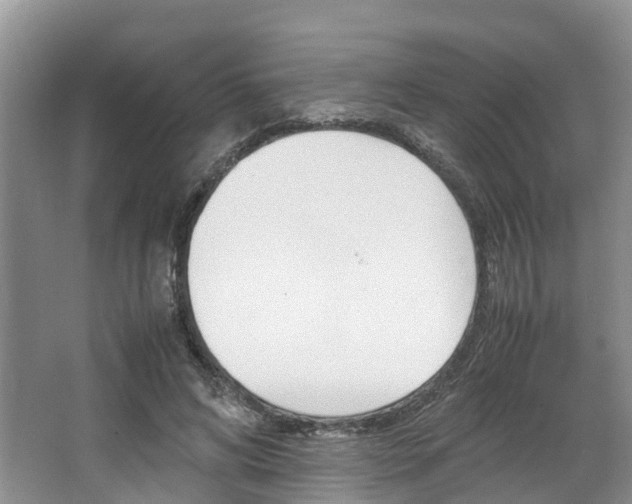X0000064770592200602101056