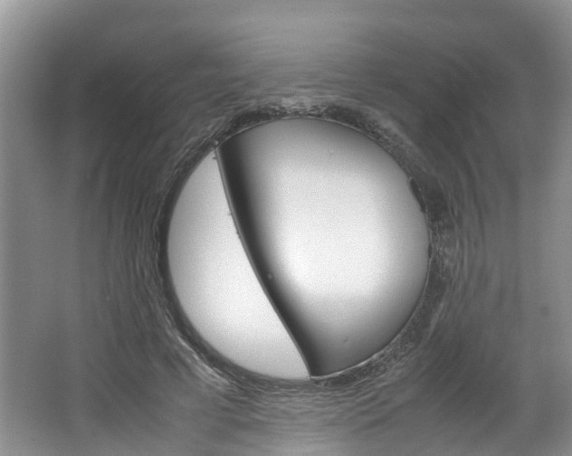 X0000064770593200602101056
