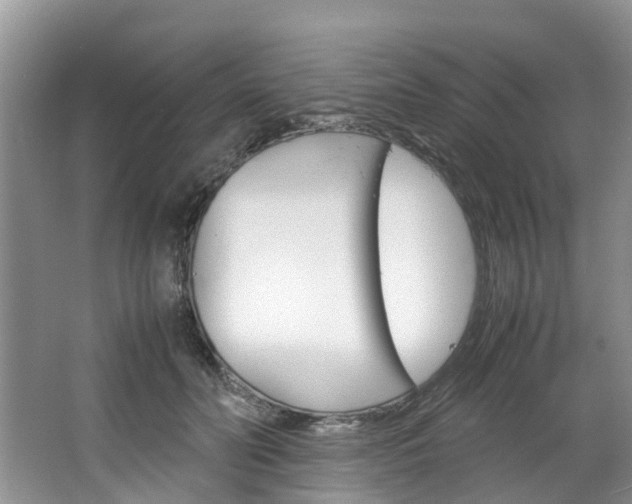 X0000064770606200602101055