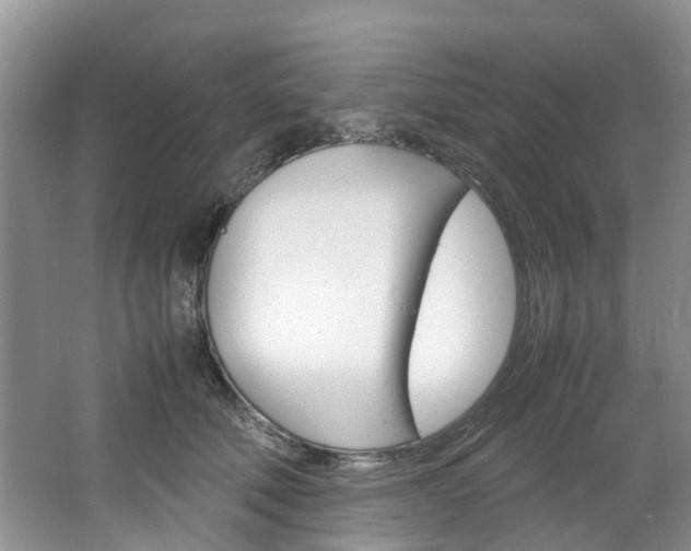 X0000064770610200602101055