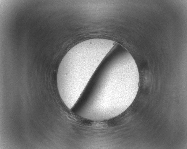 X0000064770619200602101055