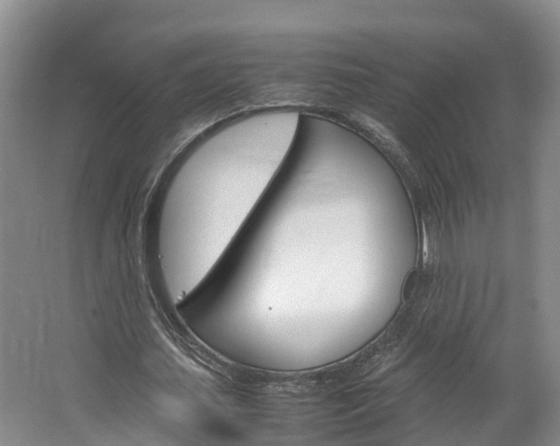 X0000064770627200602101054