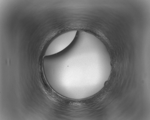 X0000064770635200602101054