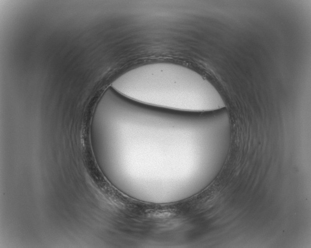 X0000064770643200602101054