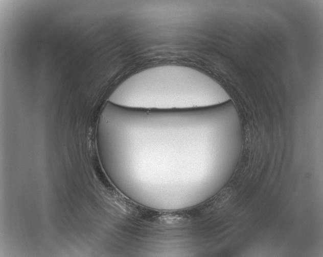 X0000064770650200602101055