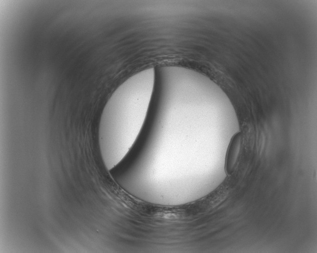 X0000064770655200602101055