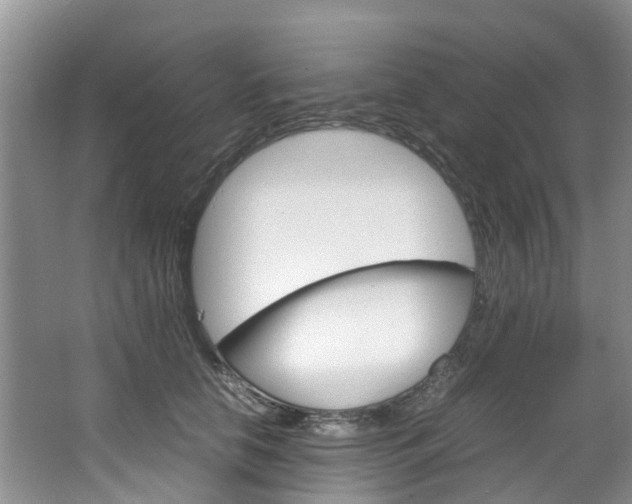 X0000064770658200602101055