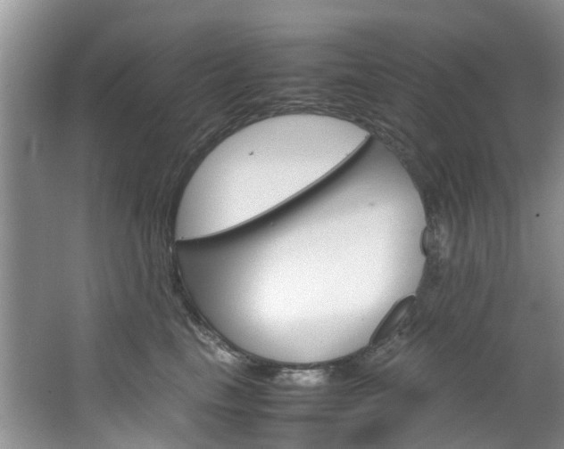 X0000064770665200602101055