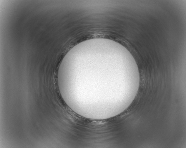 X0000064770667200602101055