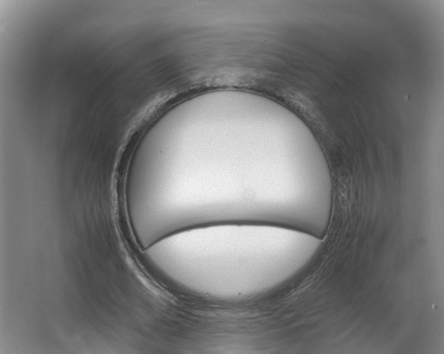 X0000064770678200602101054