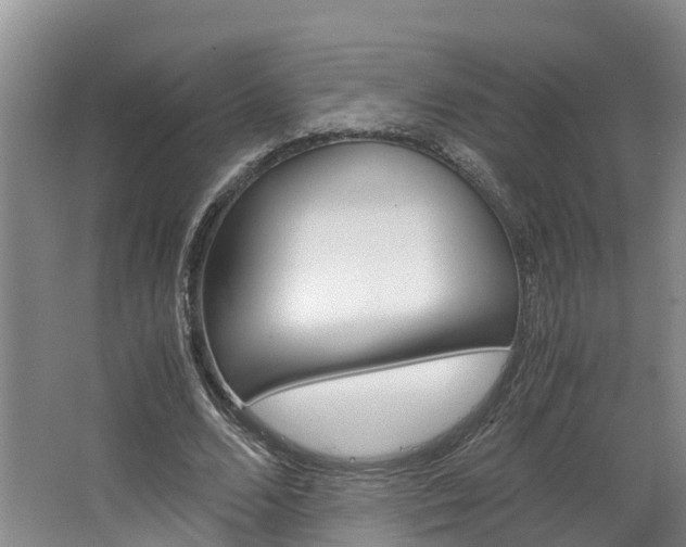 X0000064770680200602101054