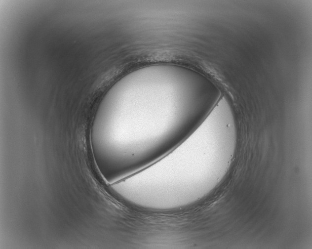 X0000064770681200602101054