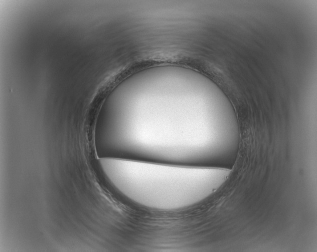 X0000064770688200602101054