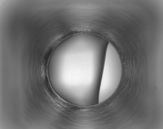 X0000064770692200602101054
