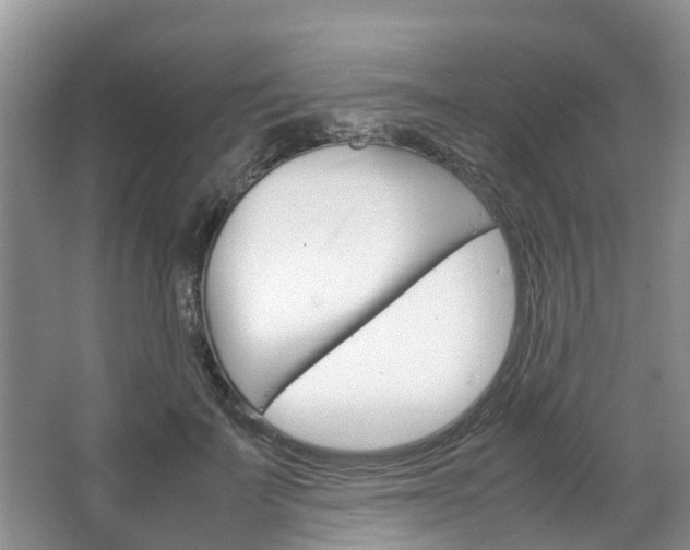 X0000064770699200602101054
