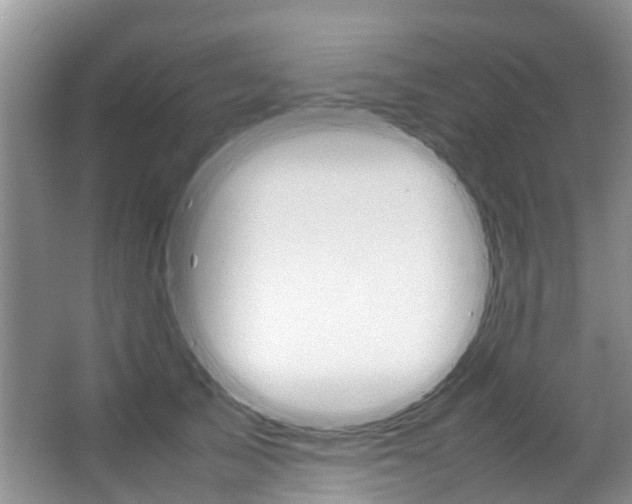 X0000064770705200602101054