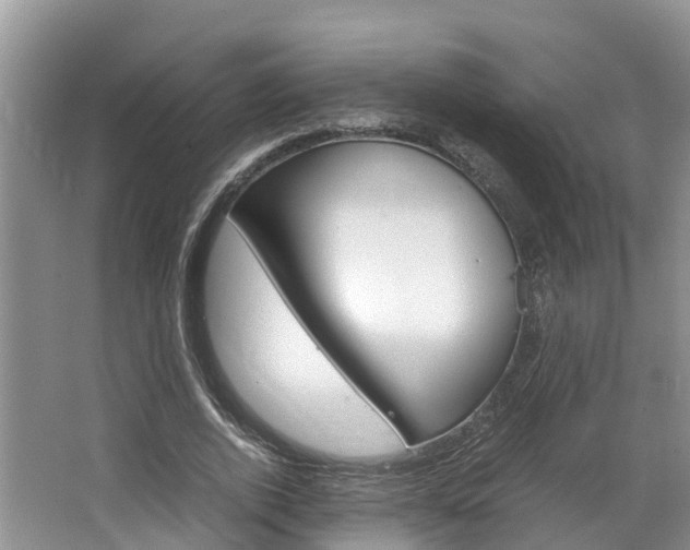 X0000064770728200602101053