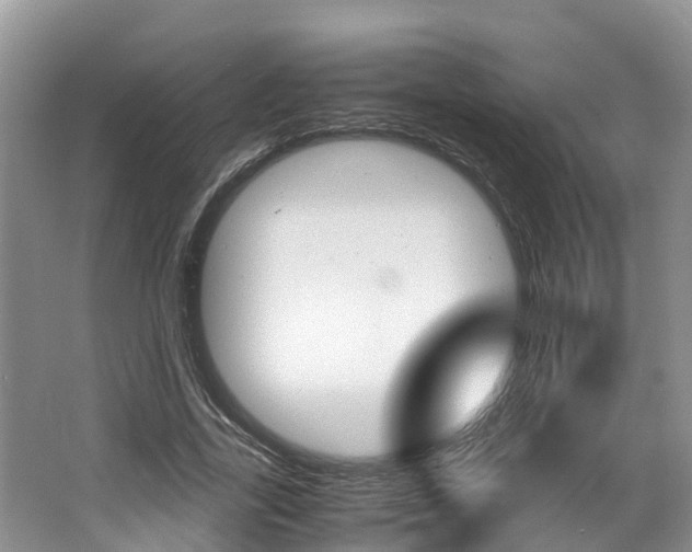 X0000064770731200602101053