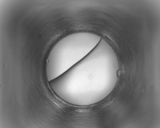 X0000064770733200602101053
