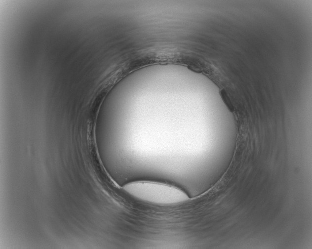 X0000064770744200602101053