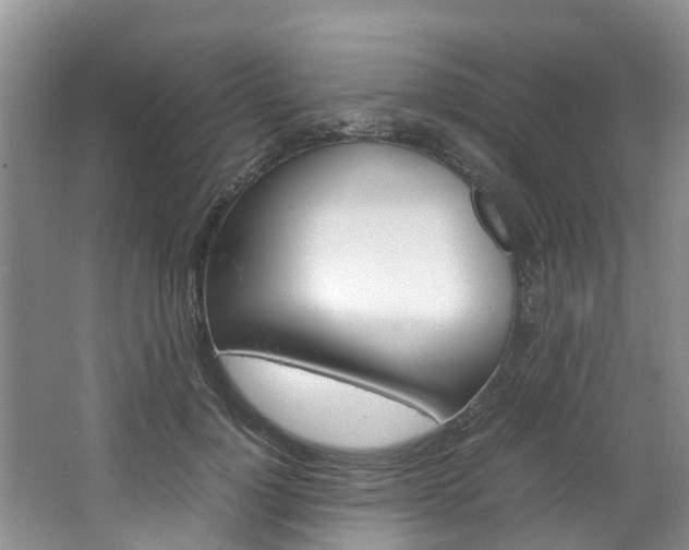 X0000064770748200602101053