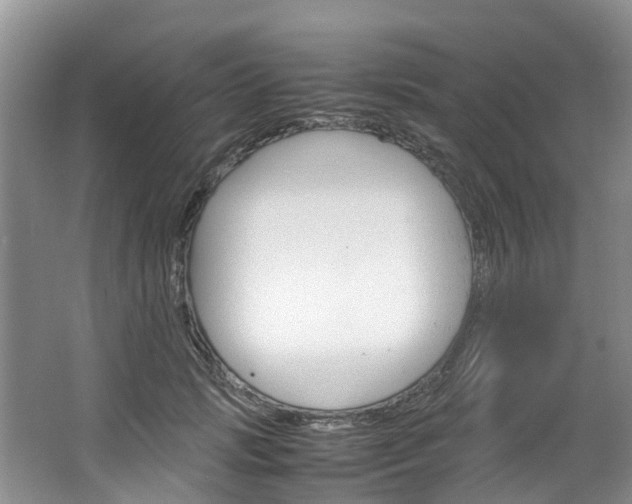 X0000064770749200602101053