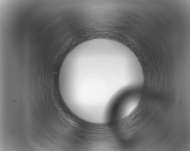 X0000064770750200602101053