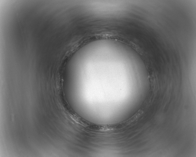 X0000064770760200602101053