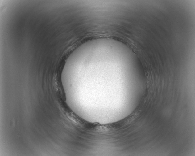X0000064770764200602101053