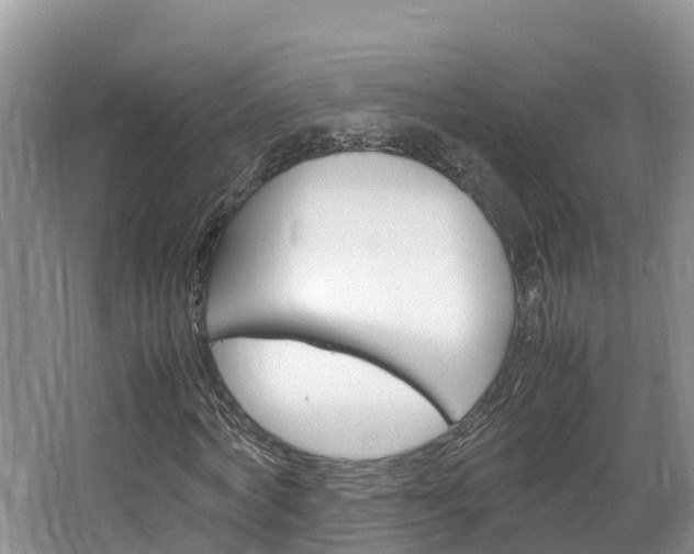 X0000064770772200602101053