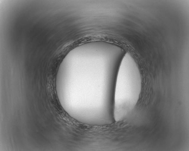 X0000064770773200602101052