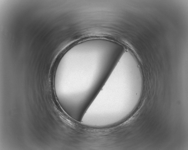 X0000064770779200602101052