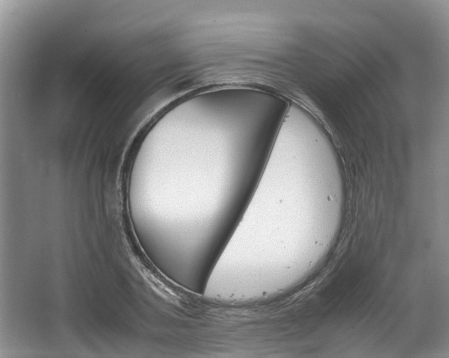 X0000064770787200602101052