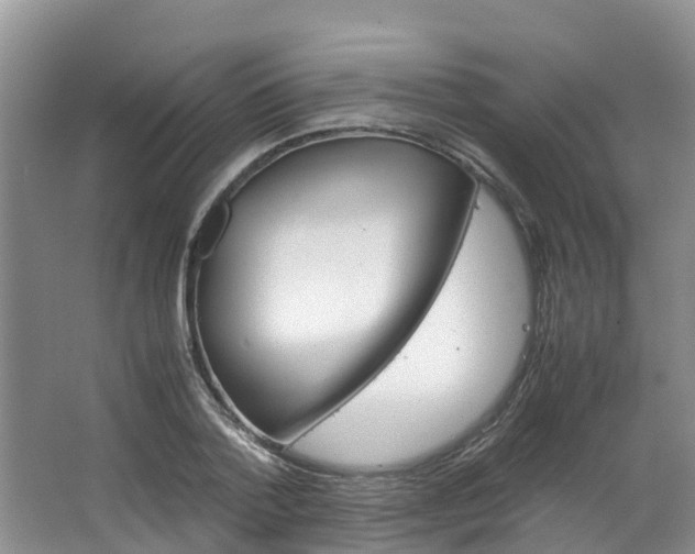 X0000064770788200602101052