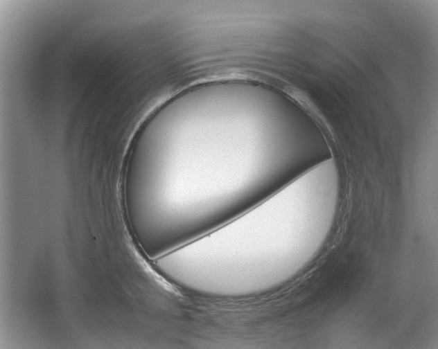 X0000064770805200602101052