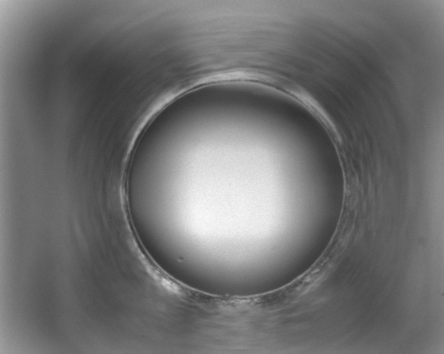 X0000064770813200602101052