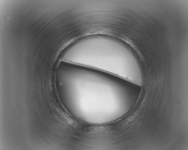 X0000064770826200602101051