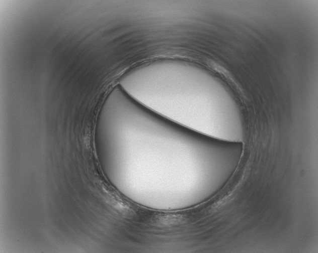 X0000064770833200602101051